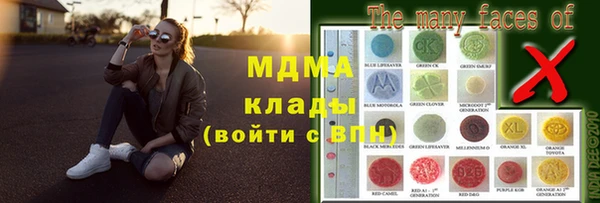 индика Белокуриха