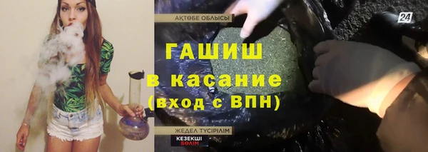 индика Белокуриха