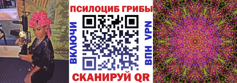 Псилоцибиновые грибы Psilocybe  Купить  Ардон 